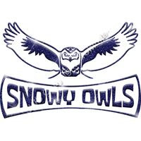 GLT94 BLUE GLITTER Thumbnail